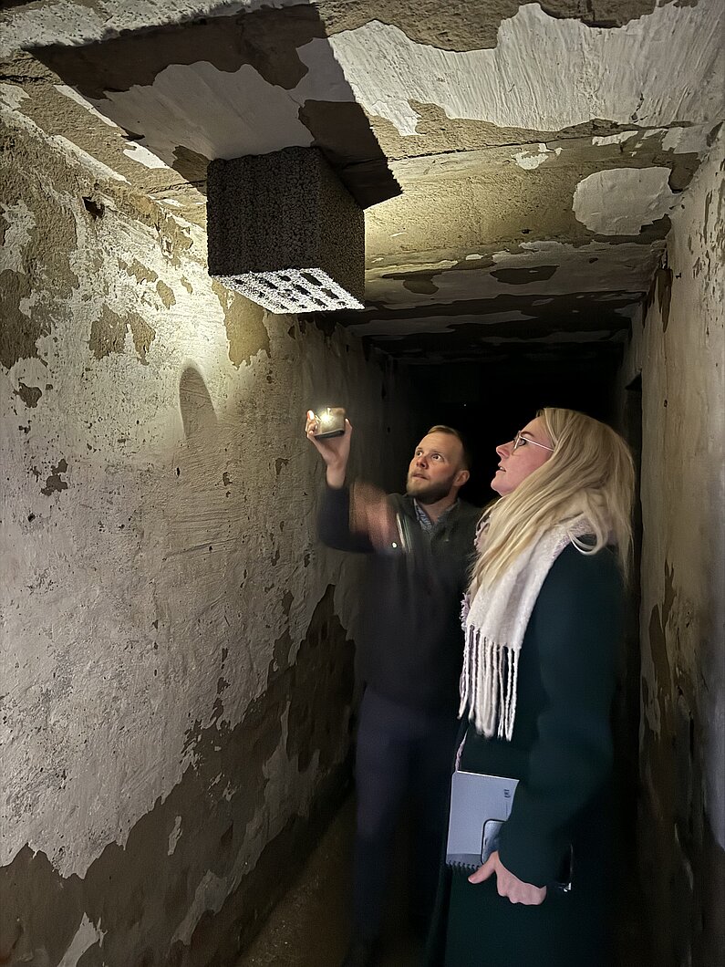 zwei Menschen stehen in einem alten dunklen Kellergeölbe und betrachten mit einer Taschenlampe einen Fledermausunterschlupf an der Decke.