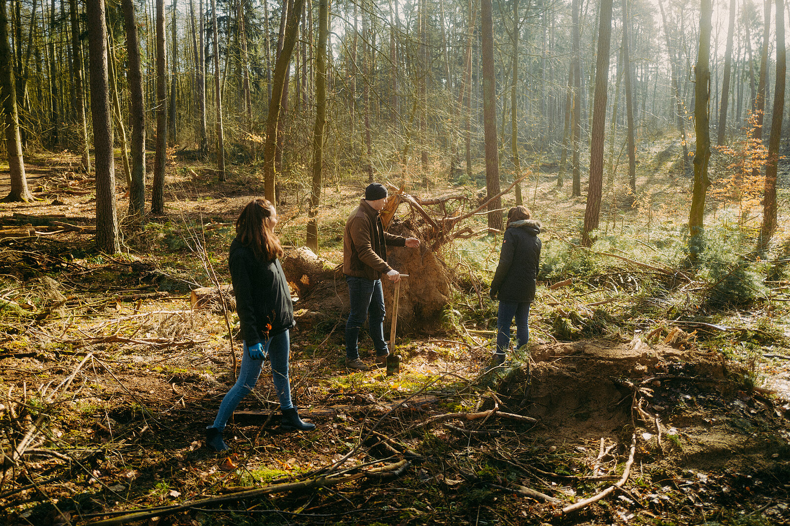 Die neu.sw Mitarbeiterinnen pflanzen Bäume im Wald